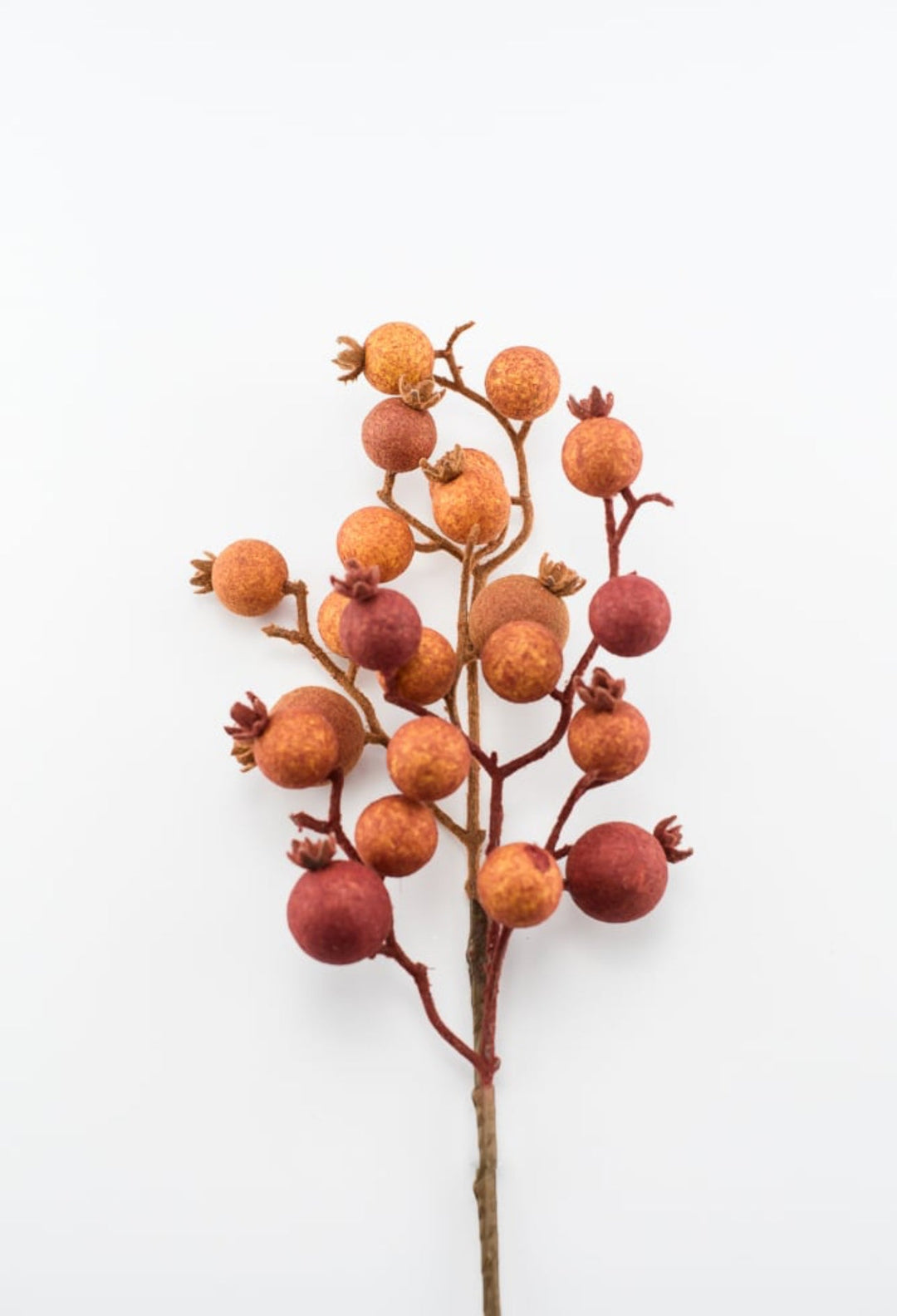 Rust fuzzy crabapple berry pick - Greenery MarketPM3318 - CIN