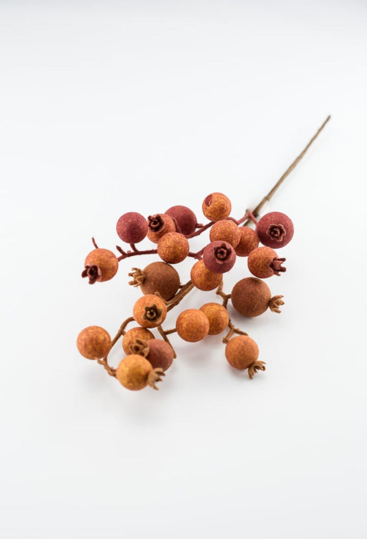 Rust fuzzy crabapple berry pick - Greenery MarketPM3318 - CIN