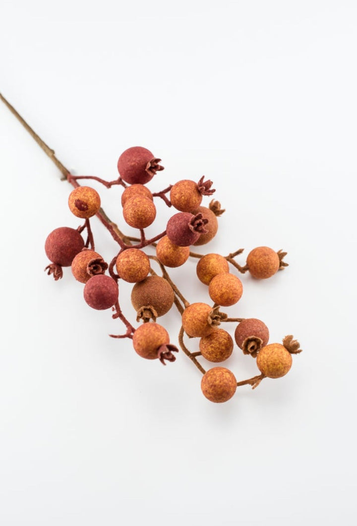Rust fuzzy crabapple berry pick - Greenery MarketPM3318 - CIN