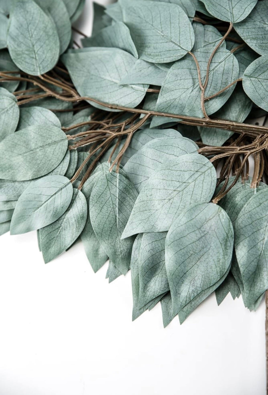 Sage Green Ficus Spray - 1 Dozen Sprays - Greenery MarketgreeneryFG633732