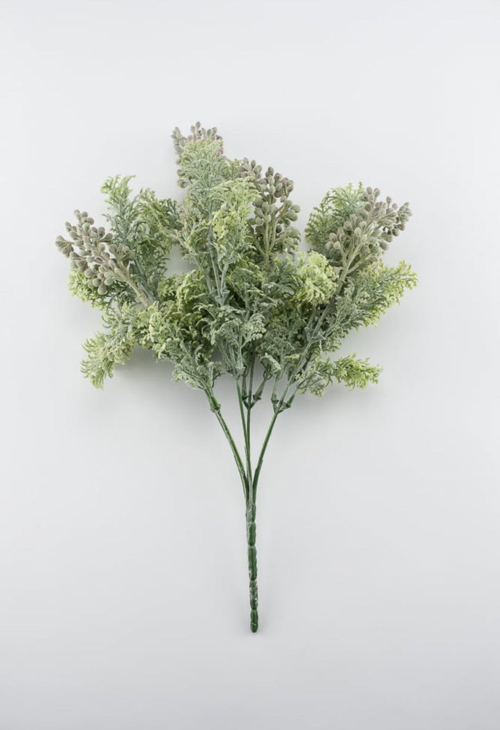 Sage green lace leaf greenery bush - Greenery MarketFL4522 - SG