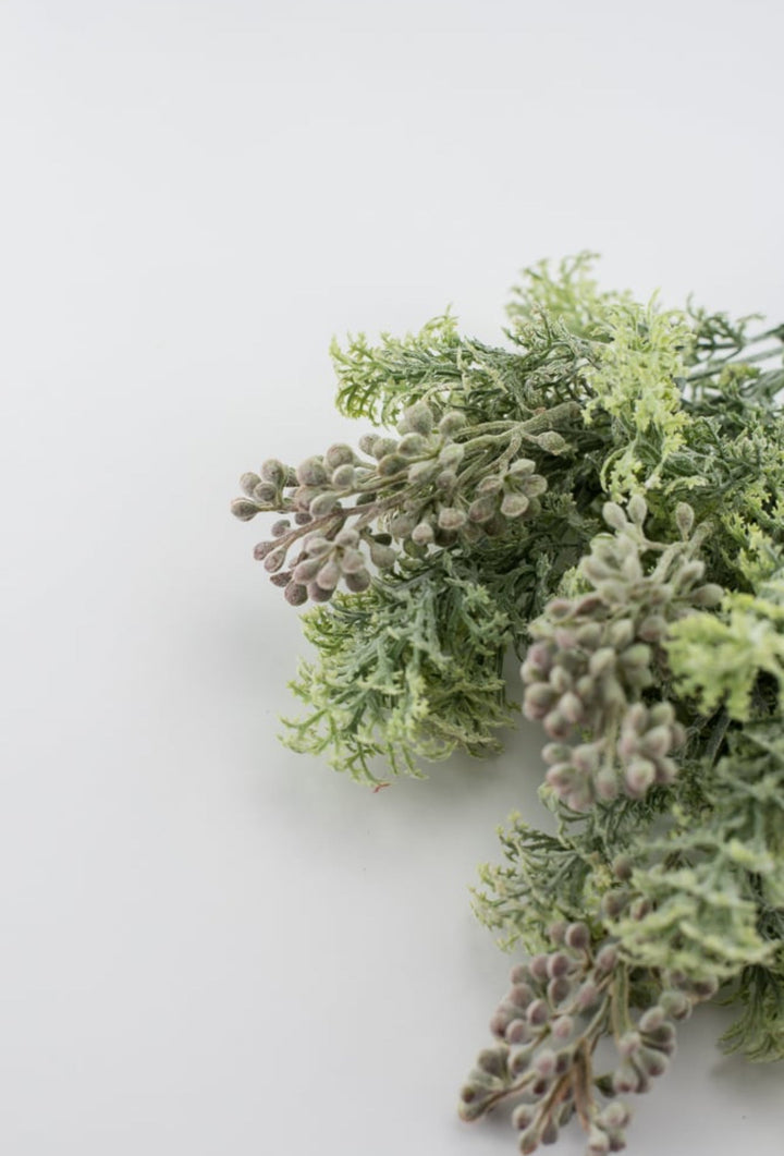 Sage green lace leaf greenery bush - Greenery MarketFL4522 - SG