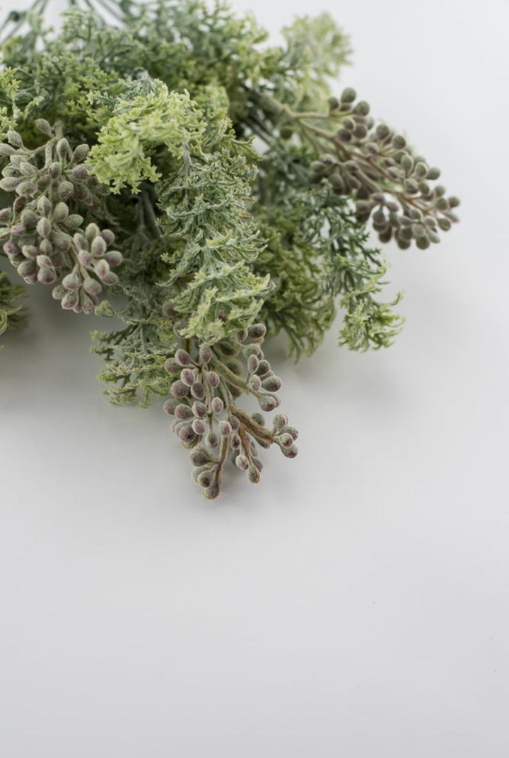Sage green lace leaf greenery bush - Greenery MarketFL4522 - SG