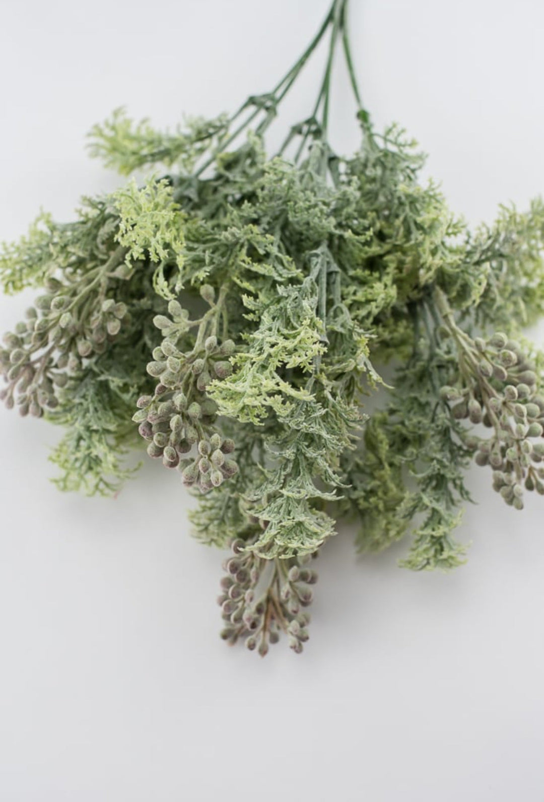 Sage green lace leaf greenery bush - Greenery MarketFL4522 - SG