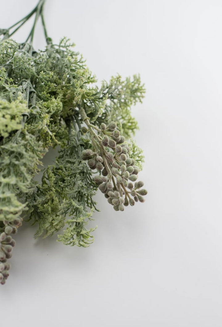 Sage green lace leaf greenery bush - Greenery MarketFL4522 - SG