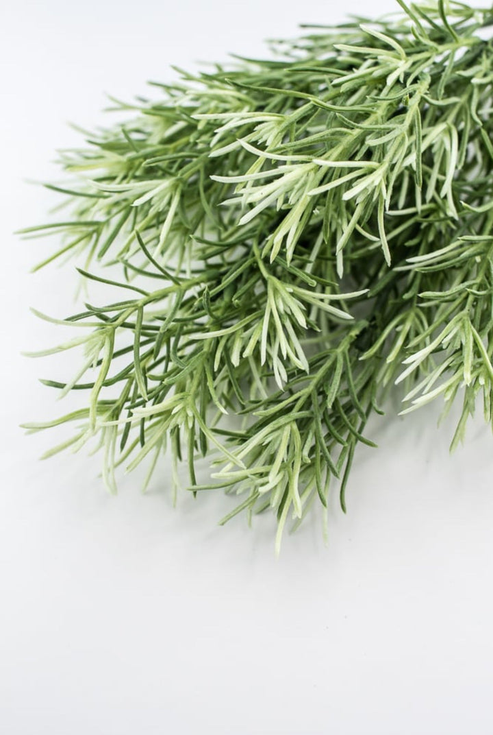 Sage Green Rosemary Greenery bush - Greenery Marketgreeneryfl5035 - sg