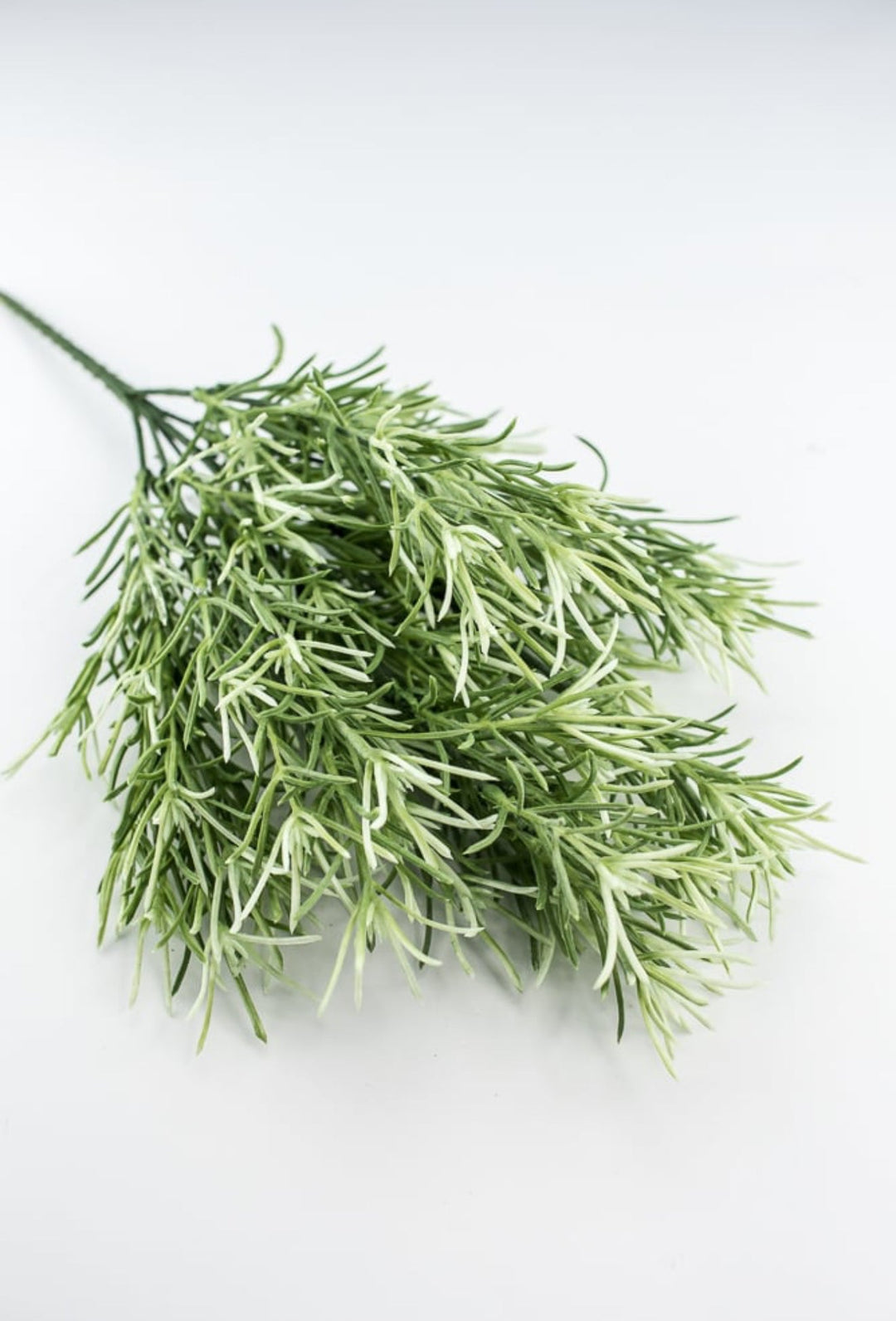 Sage Green Rosemary Greenery bush - Greenery Marketgreeneryfl5035 - sg