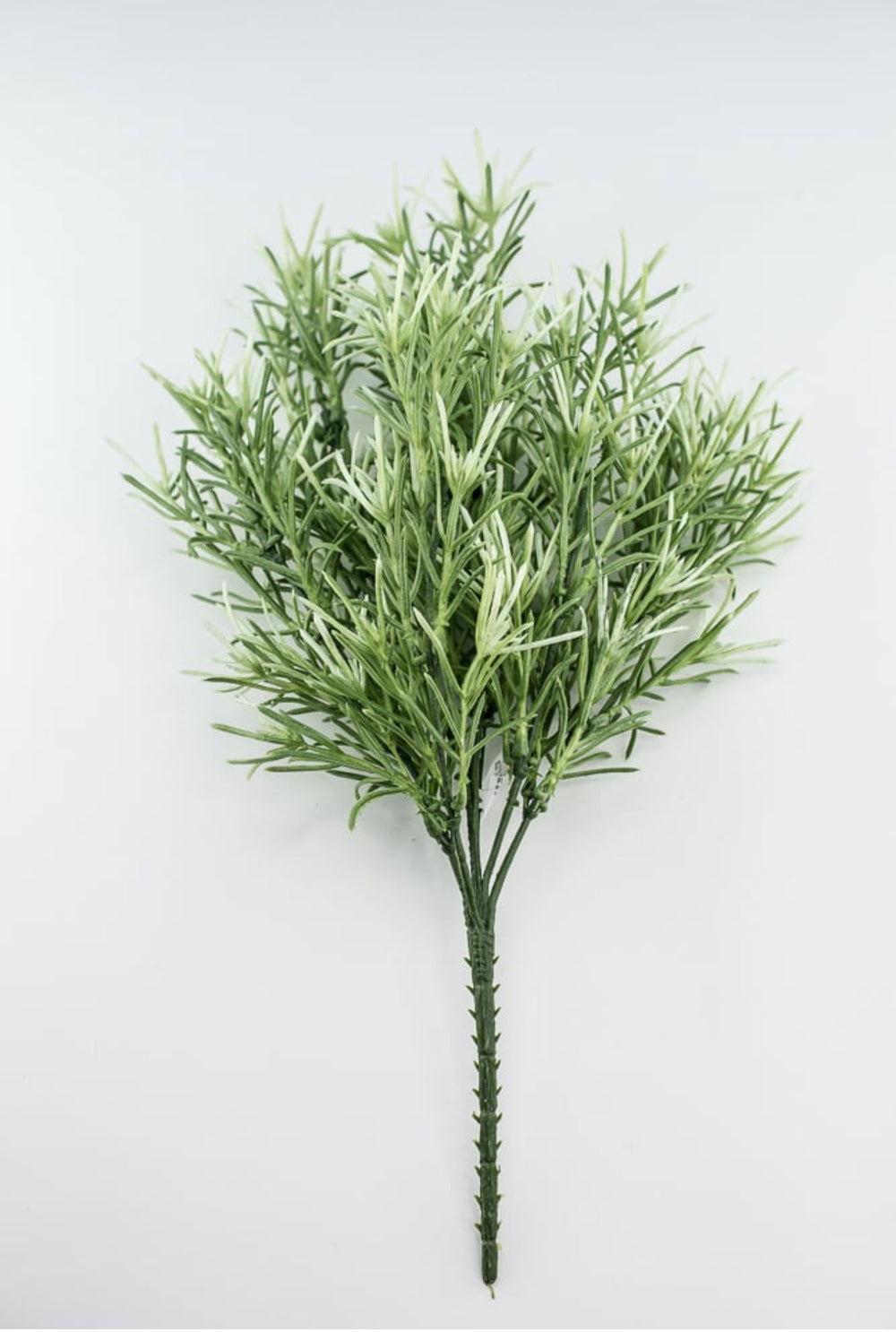 Sage Green Rosemary Greenery bush - Greenery Marketgreeneryfl5035 - sg