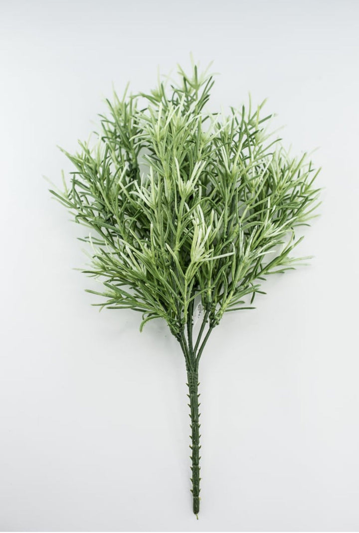 Sage Green Rosemary Greenery bush - Greenery Marketgreeneryfl5035 - sg