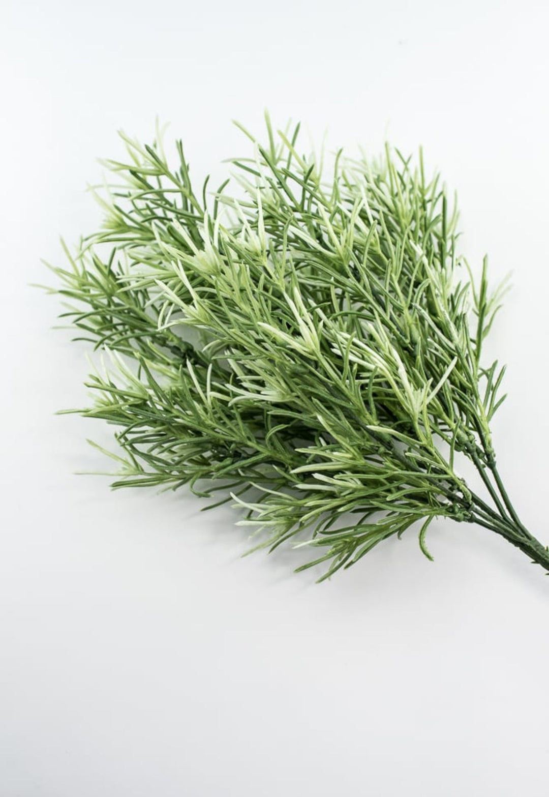 Sage Green Rosemary Greenery bush - Greenery Marketgreeneryfl5035 - sg