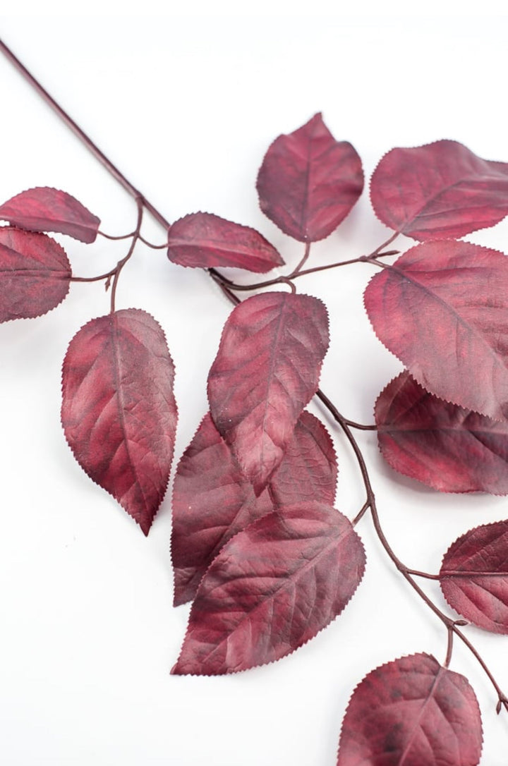 Salal leaves spray - burgundy - Greenery Market215500