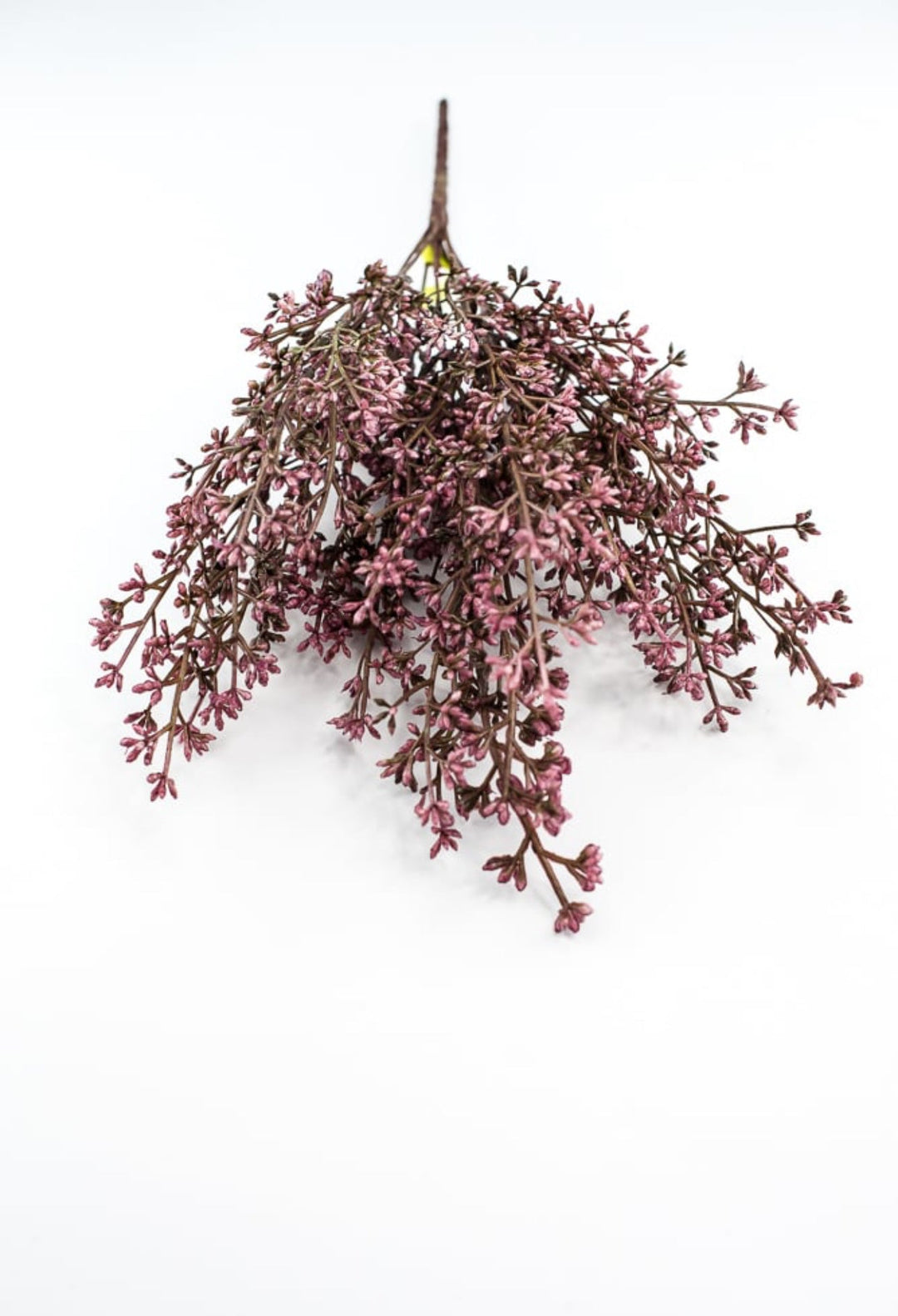 Seed bush - plum - Greenery Marketgreenery57095PU