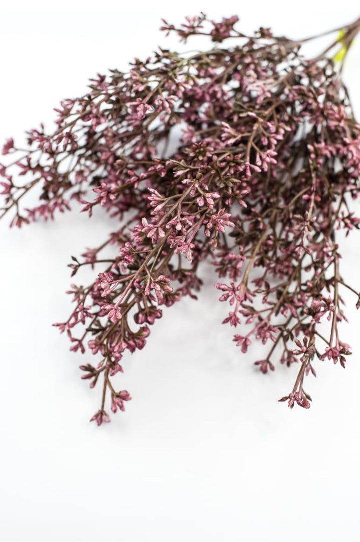 Seed bush - plum - Greenery Marketgreenery57095PU