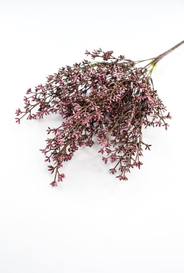 Seed bush - plum - Greenery Marketgreenery57095PU