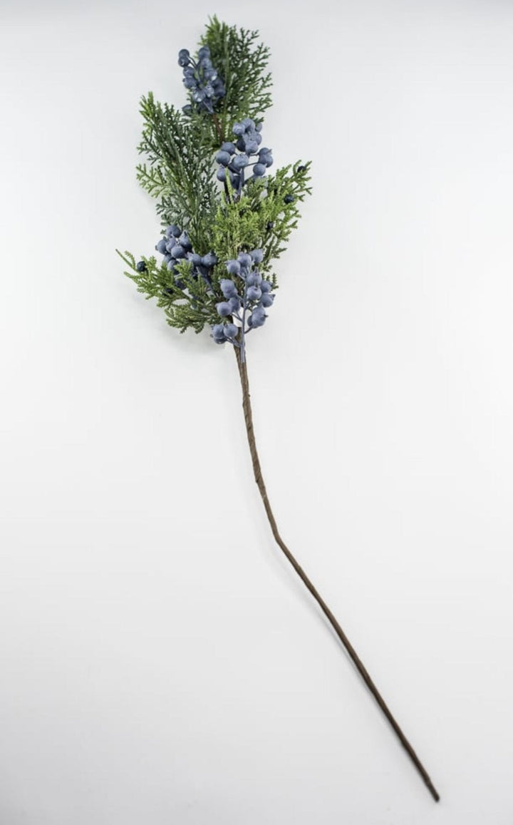 Seeding juniper cedar spray with blue berries - Greenery MarketgreeneryXP2161-GB