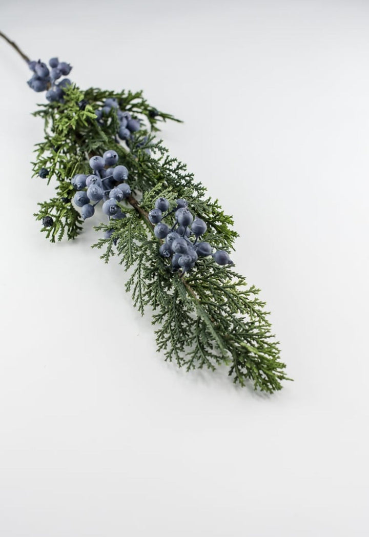 Seeding juniper cedar spray with blue berries - Greenery MarketgreeneryXP2161-GB