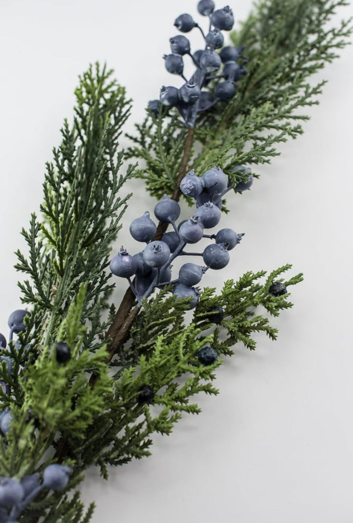 Seeding juniper cedar spray with blue berries - Greenery MarketgreeneryXP2161-GB