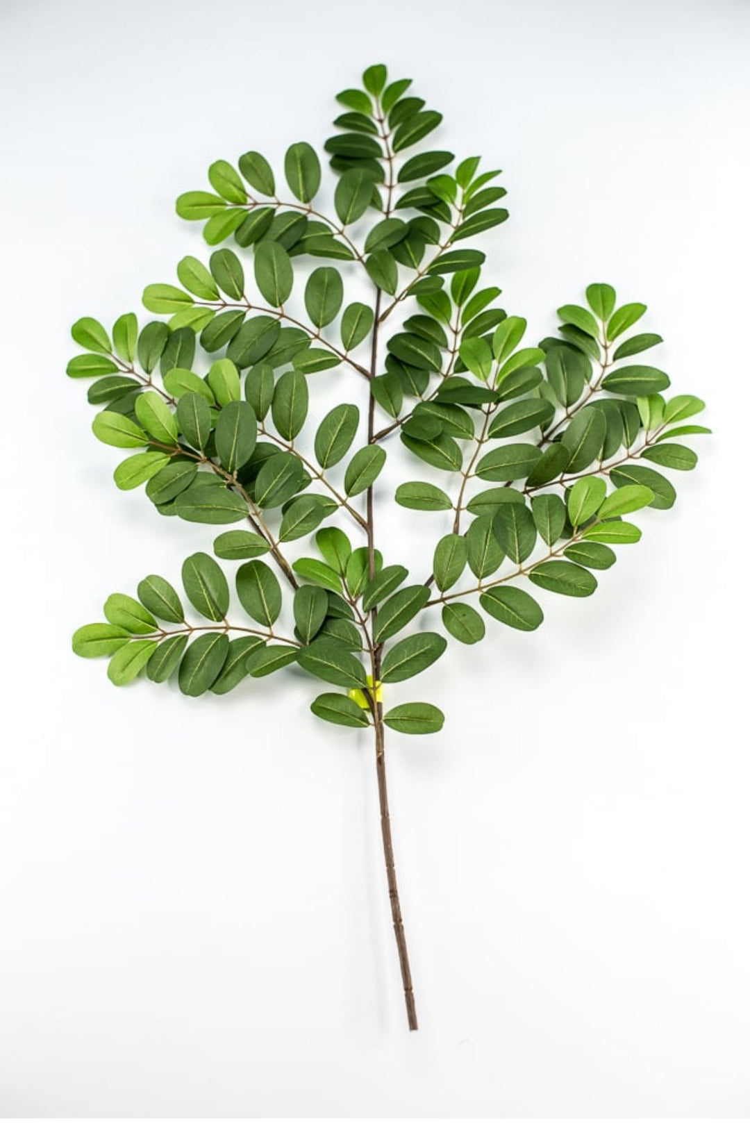 Silk Leaf spray, greenery - Greenery Marketgreenery13464gn