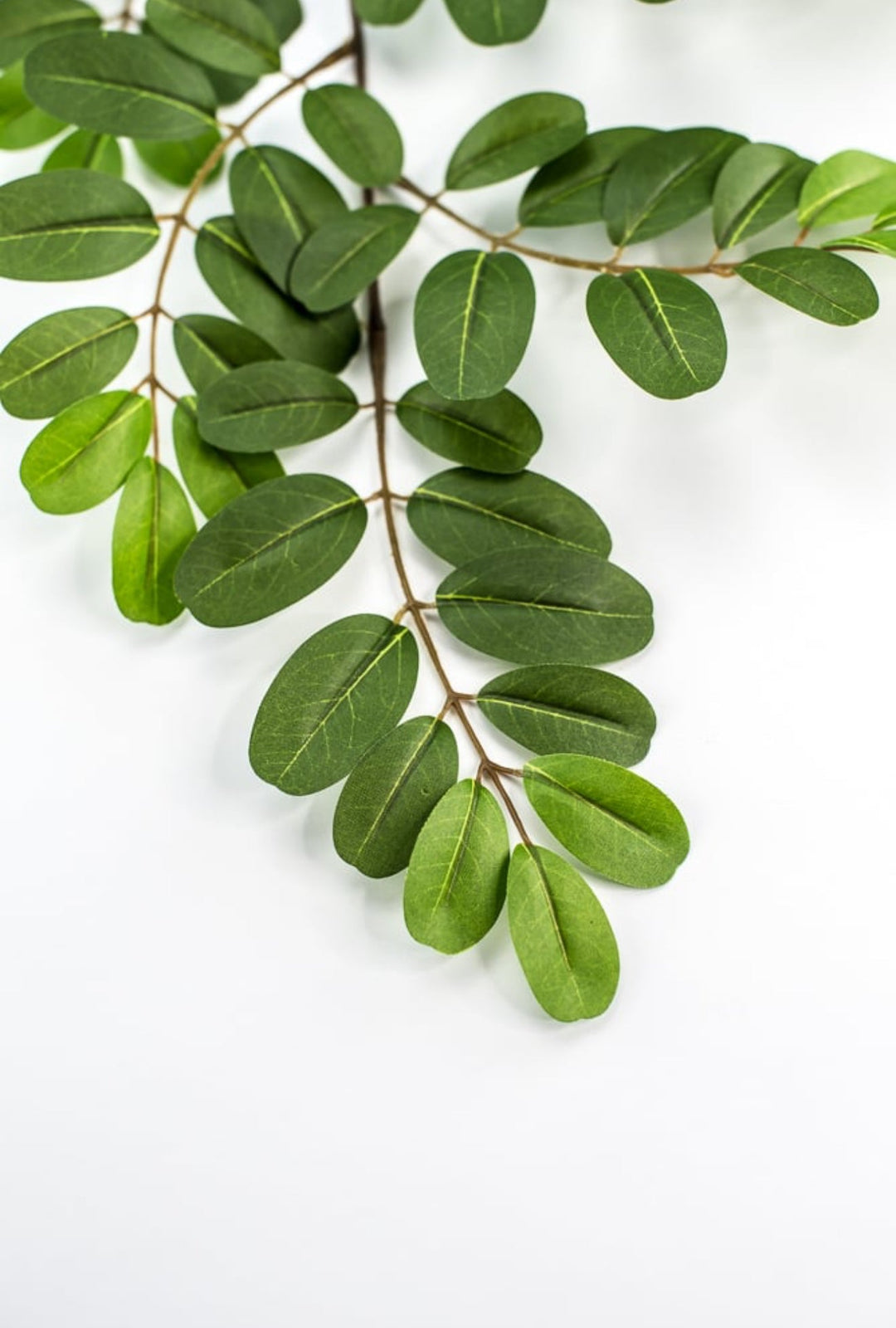 Silk Leaf spray, greenery - Greenery Marketgreenery13464gn