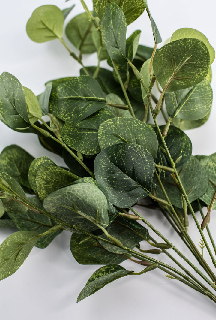 Silver dollar eucalyptus bush - green - Greenery Market84807 - GN