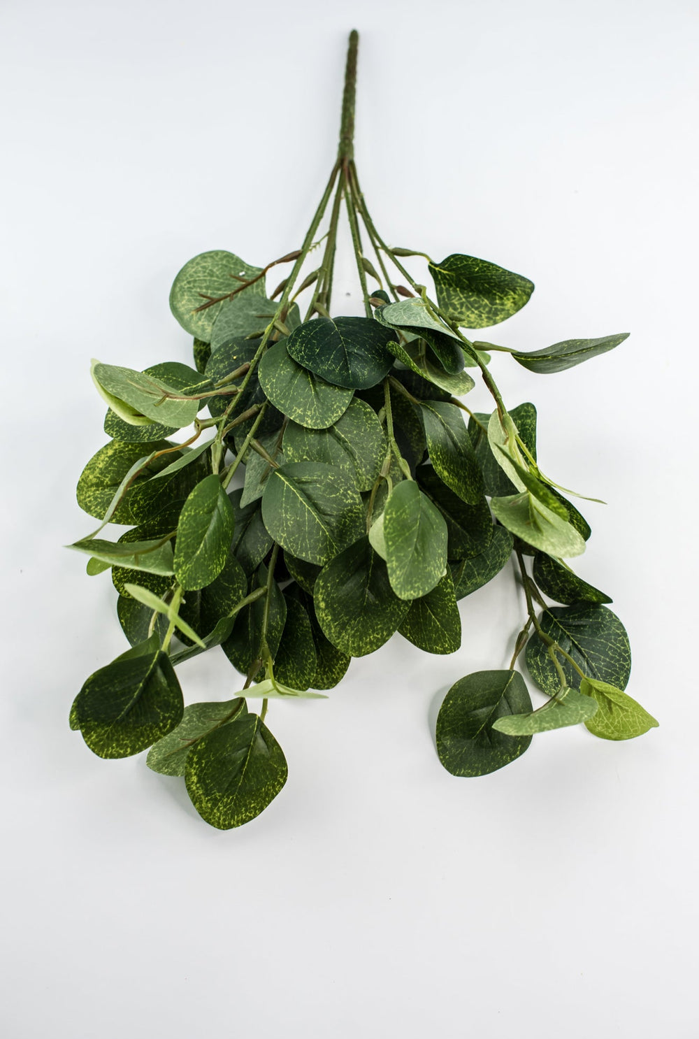 Silver dollar eucalyptus bush - green - Greenery Market84807 - GN
