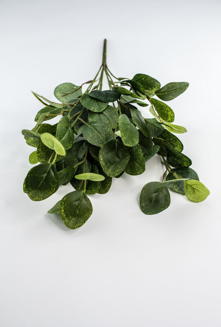 Silver dollar eucalyptus bush - green - Greenery Market84807 - GN