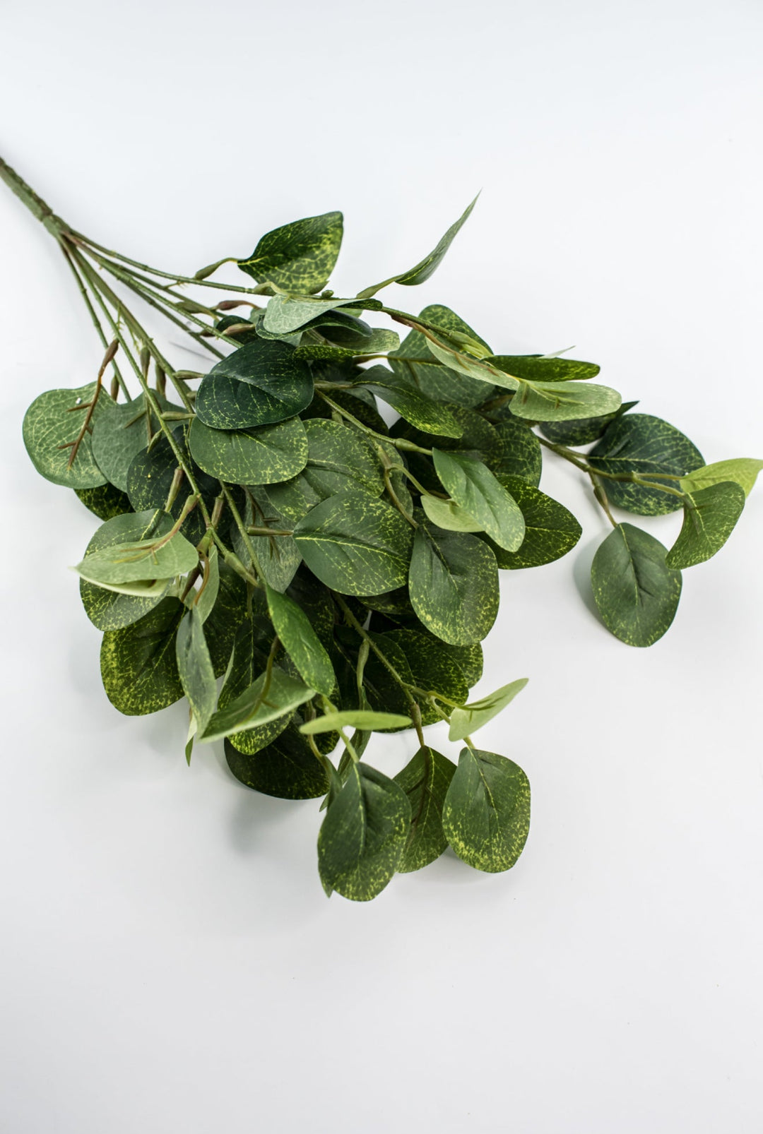 Silver dollar eucalyptus bush - green - Greenery Market84807 - GN