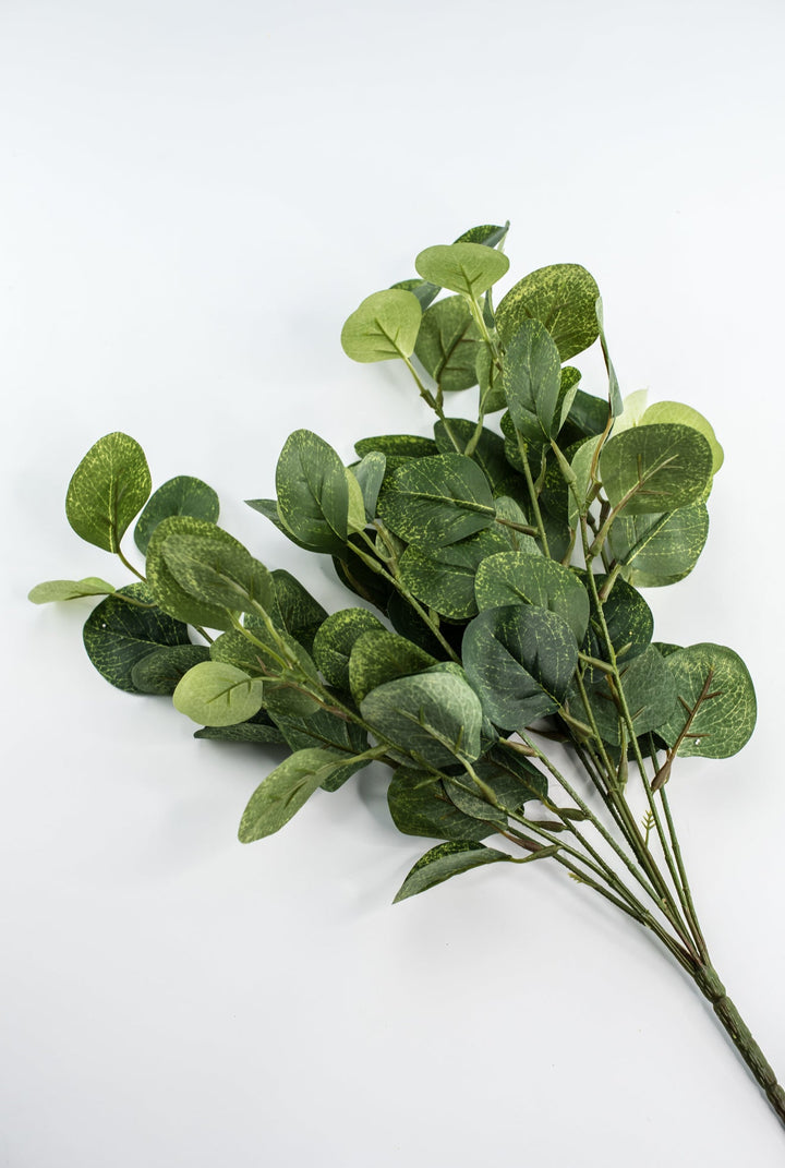 Silver dollar eucalyptus bush - green - Greenery Market84807 - GN