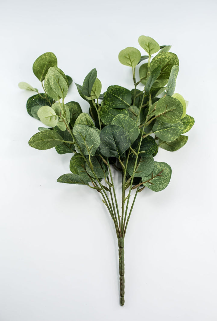 Silver dollar eucalyptus bush - green - Greenery Market84807 - GN