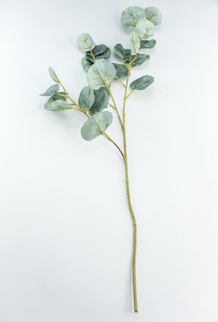 Silver dollar eucalyptus spray - Greenery MarketFL6122 - SG