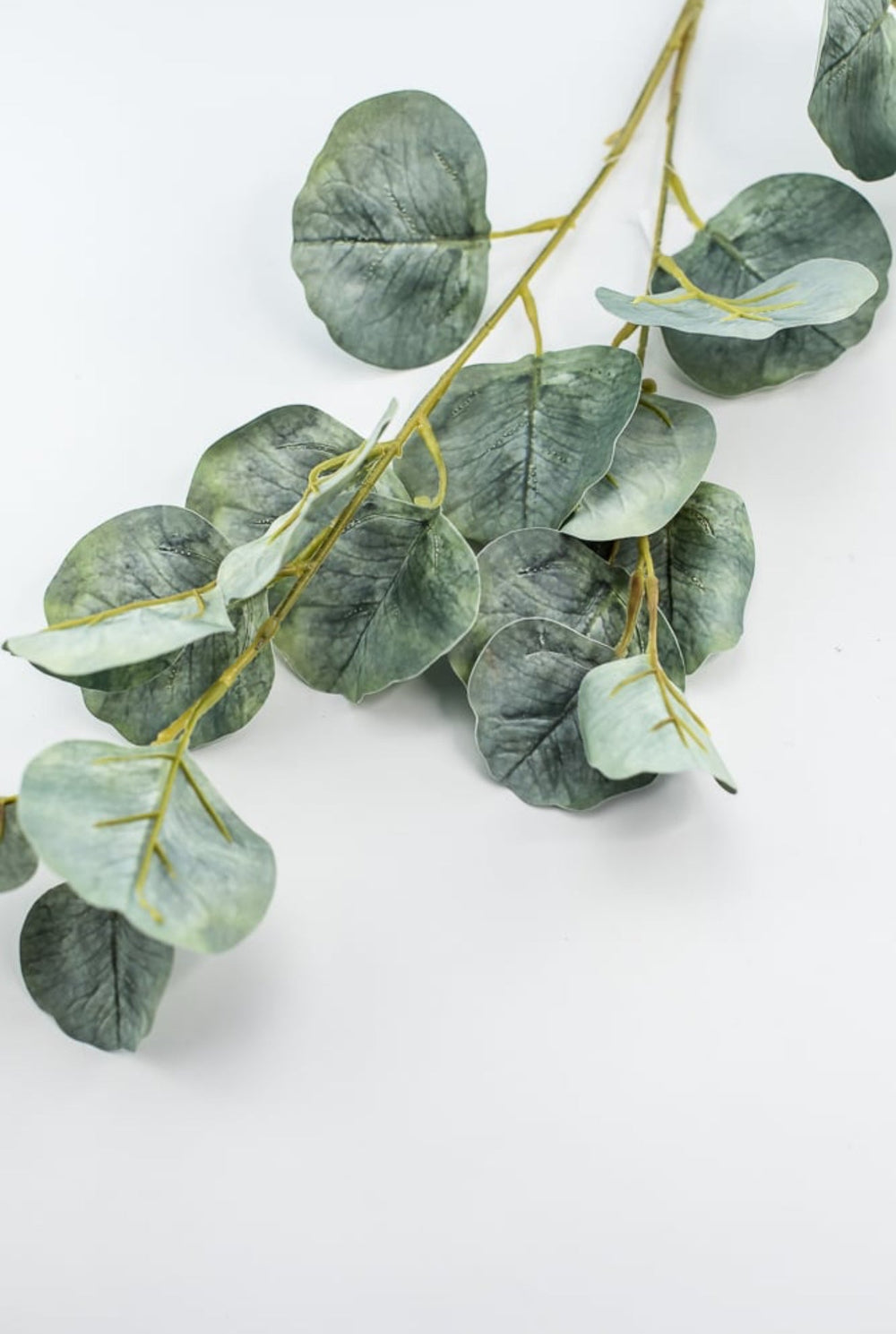 Silver dollar eucalyptus spray - Greenery MarketFL6122 - SG