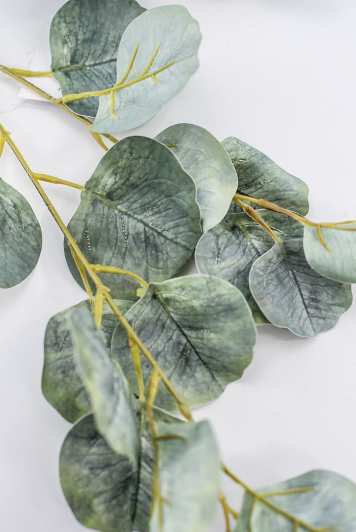 Silver dollar eucalyptus spray - Greenery MarketFL6122 - SG