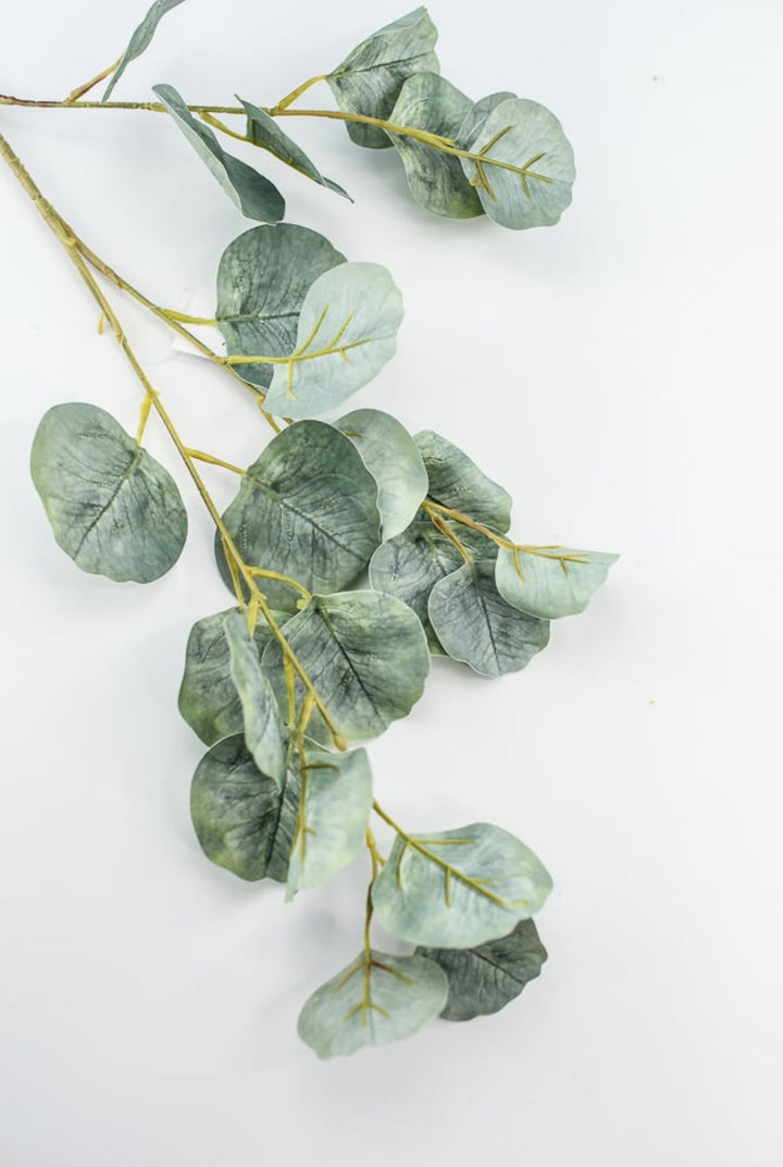 Silver dollar eucalyptus spray - Greenery MarketFL6122 - SG