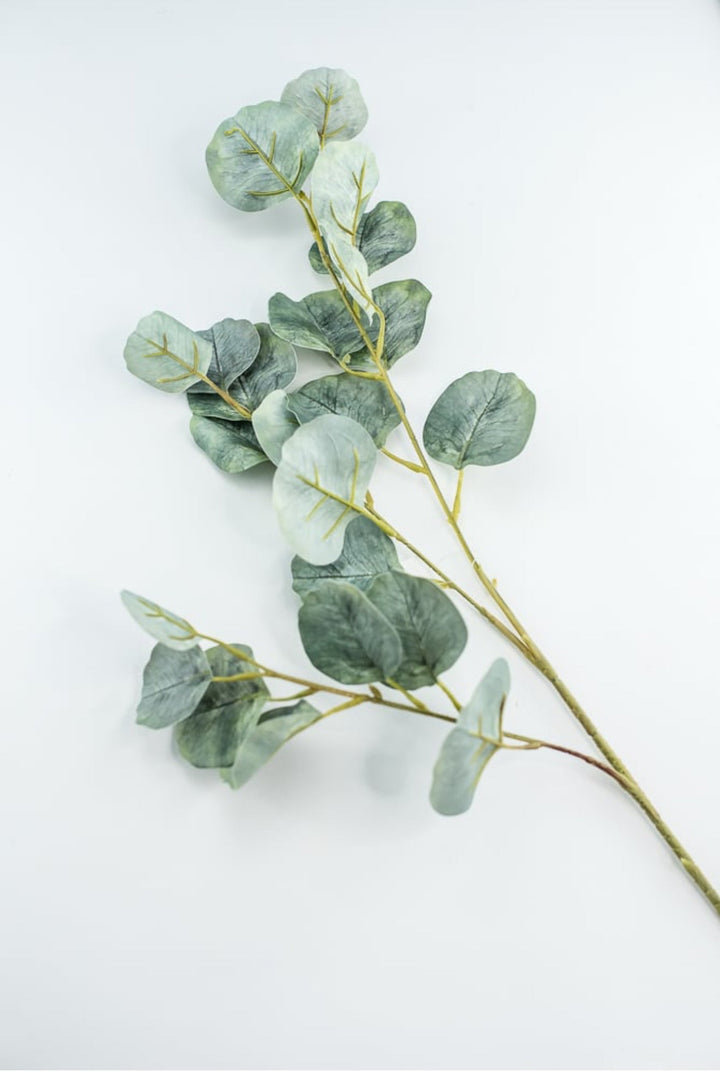 Silver dollar eucalyptus spray - Greenery MarketFL6122 - SG