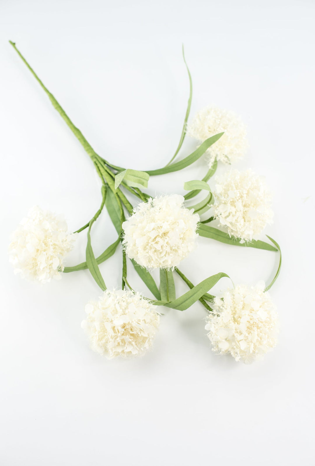 Snowball hydrangea spray - cream - Greenery Market64910 - CR