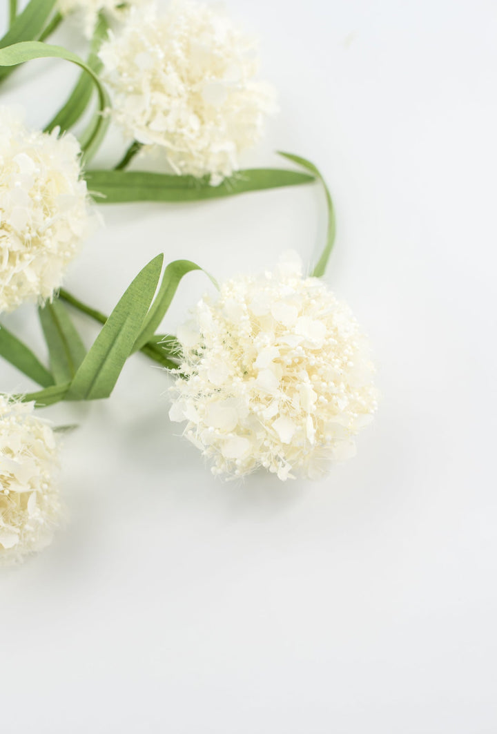 Snowball hydrangea spray - cream - Greenery Market64910 - CR