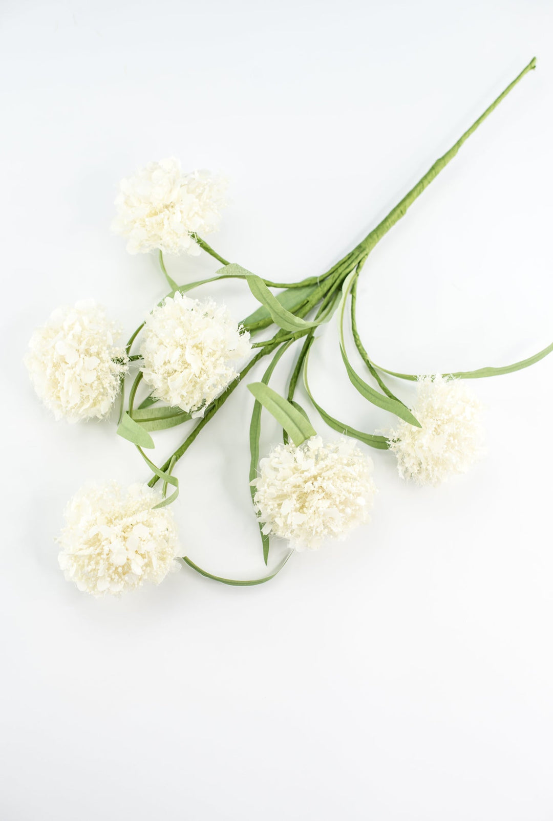 Snowball hydrangea spray - cream - Greenery Market64910 - CR