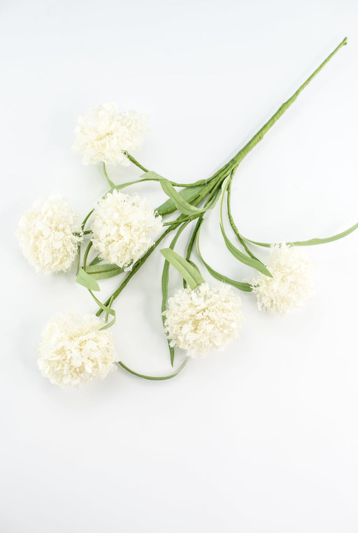 Snowball hydrangea spray - cream - Greenery Market64910 - CR