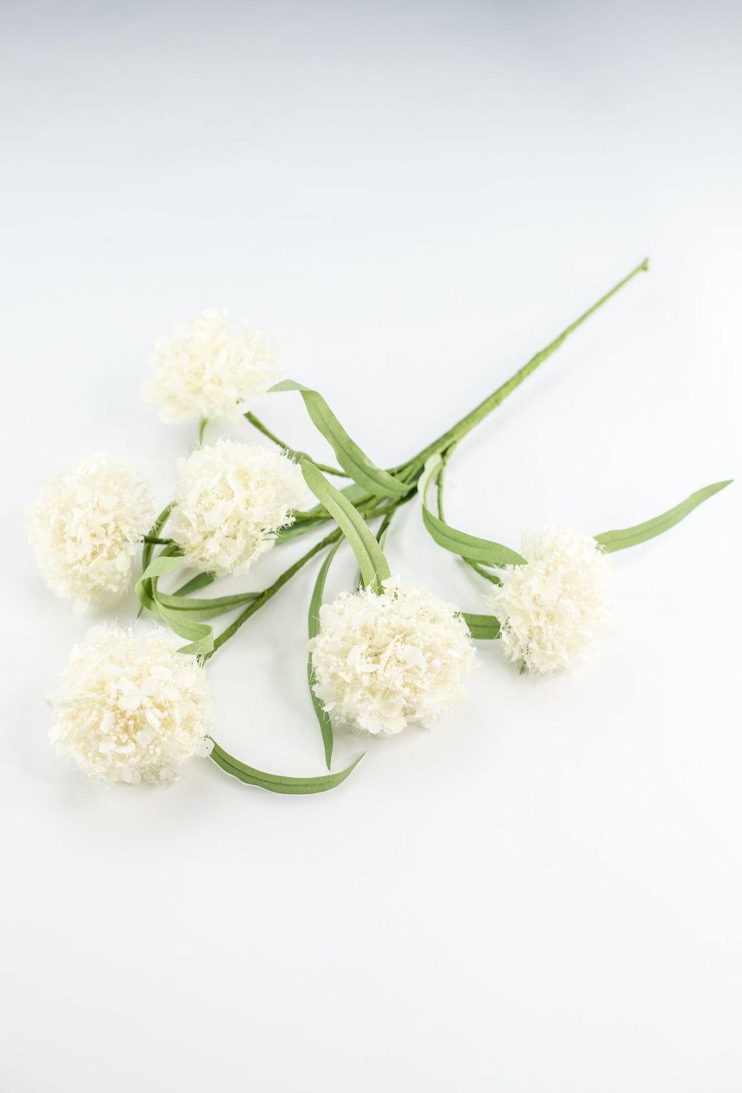 Snowball hydrangea spray - cream - Greenery Market64910 - CR