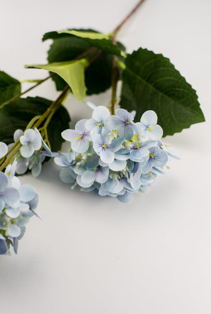 Snowball hydrangea spray - light blue - Greenery Market6222 - B