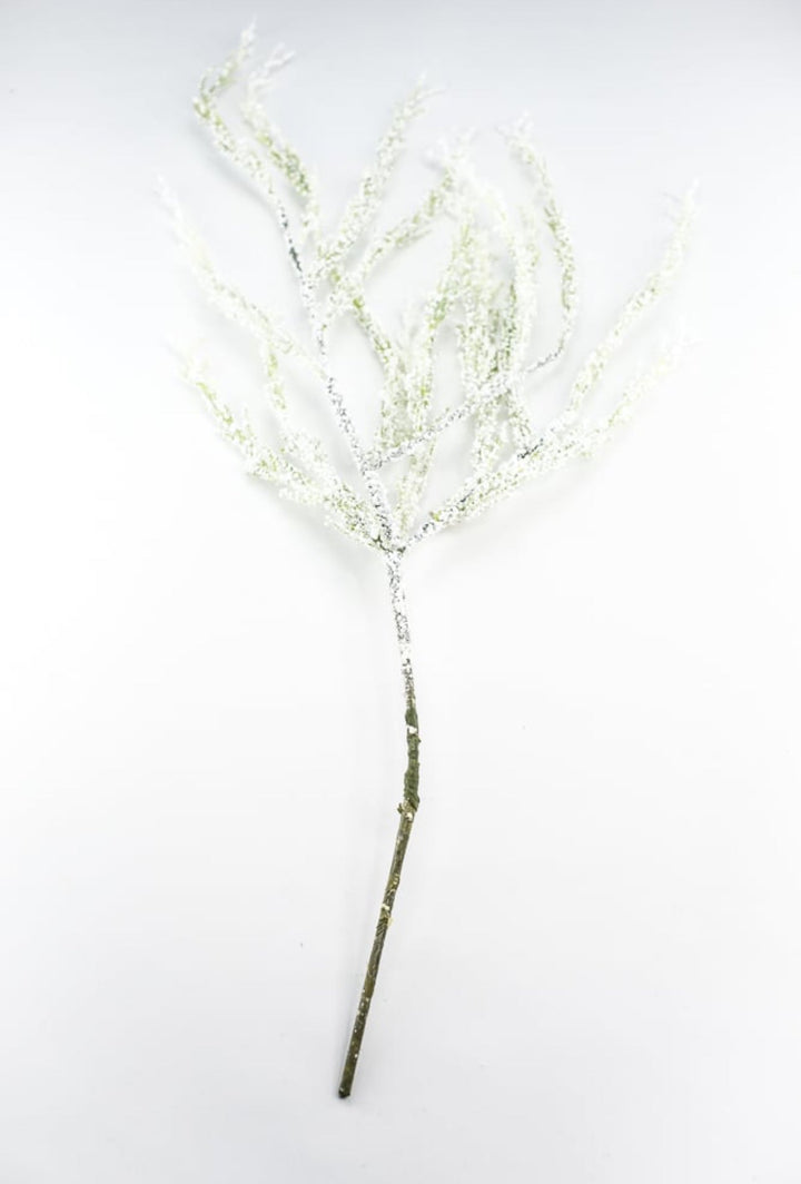 Snowy bubble asparagus spray - 40” - Greenery Marketgreenery27241