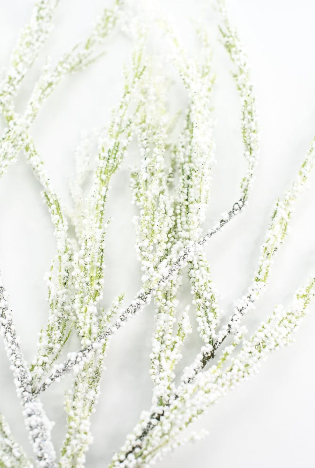 Snowy bubble asparagus spray - 40” - Greenery Marketgreenery27241
