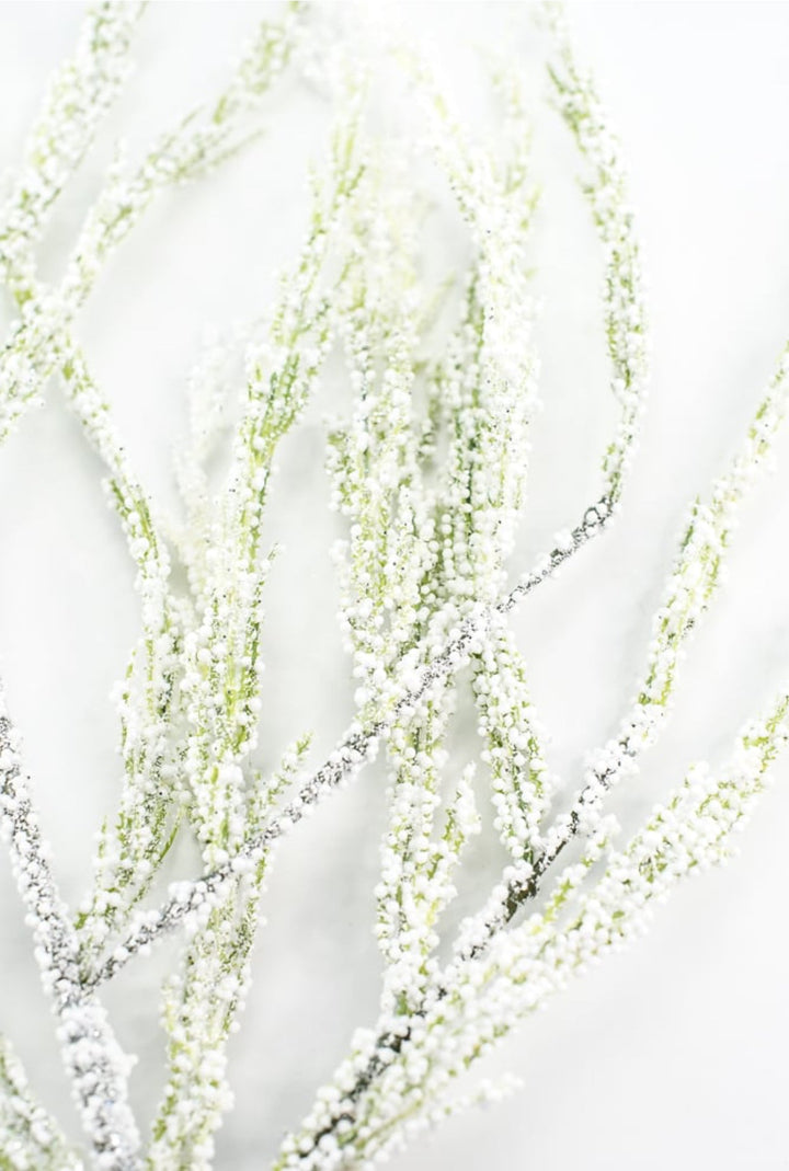 Snowy bubble asparagus spray - 40” - Greenery Marketgreenery27241
