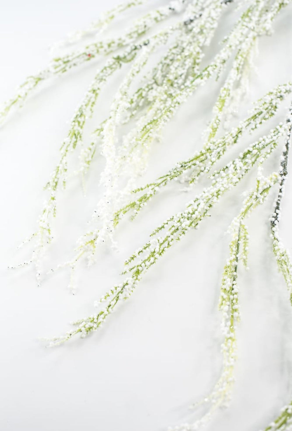 Snowy bubble asparagus spray - 40” - Greenery Marketgreenery27241