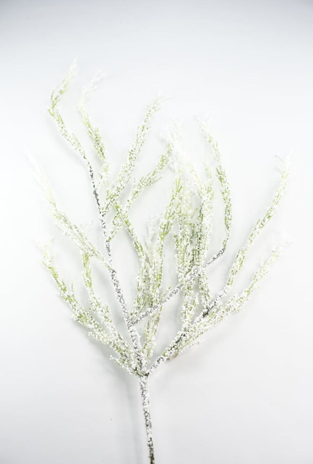 Snowy bubble asparagus spray - 40” - Greenery Marketgreenery27241