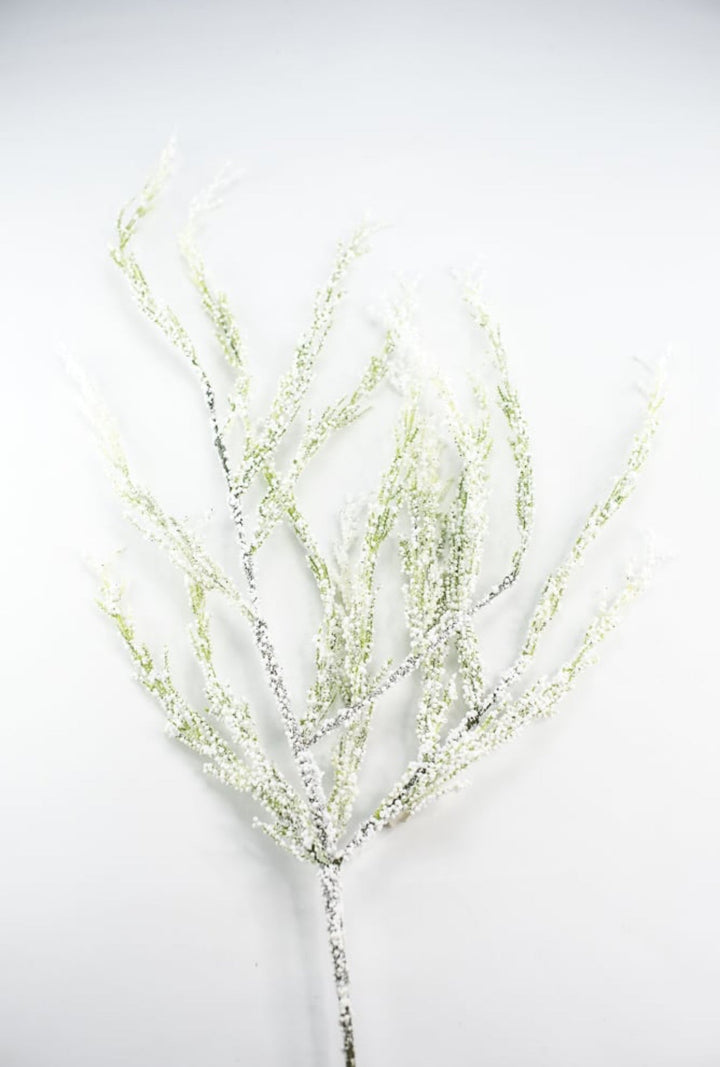 Snowy bubble asparagus spray - 40” - Greenery Marketgreenery27241