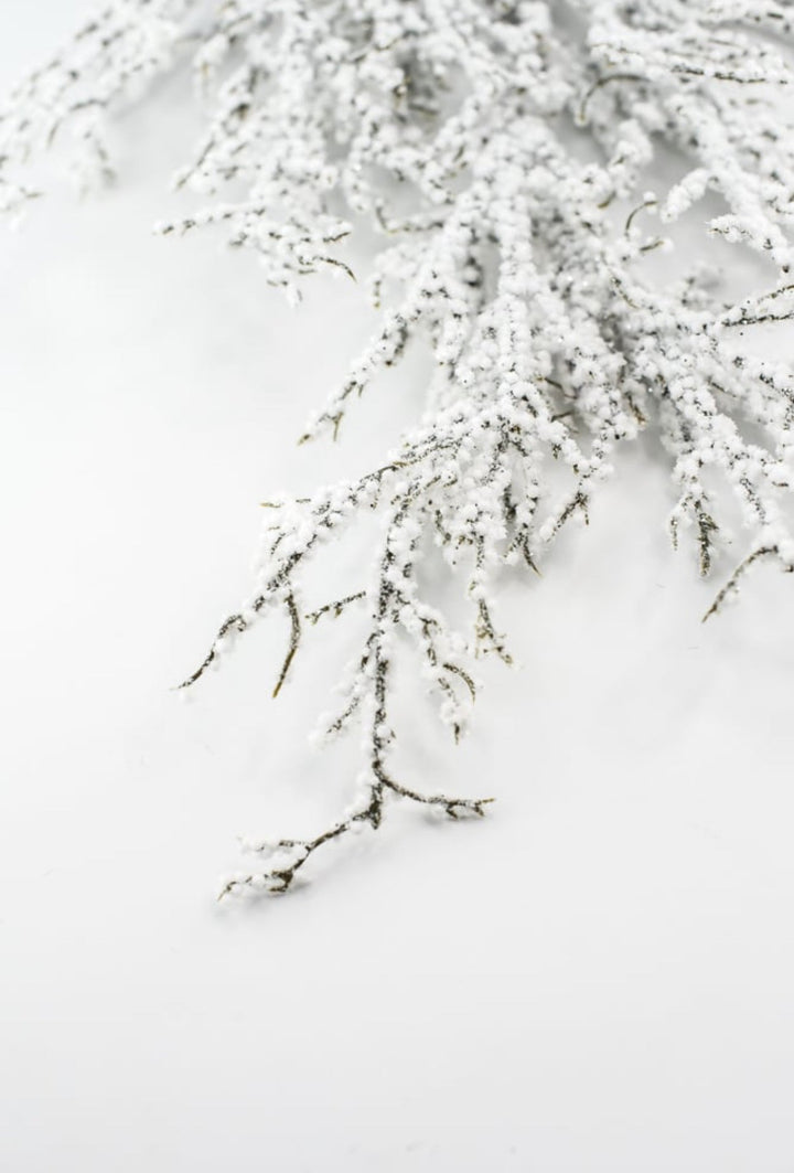 Snowy bubble spray - Greenery MarketgreeneryXD106/31