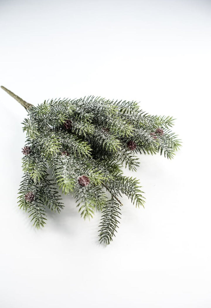 Snowy, evergreen bush with mini cones - Greenery Market84356