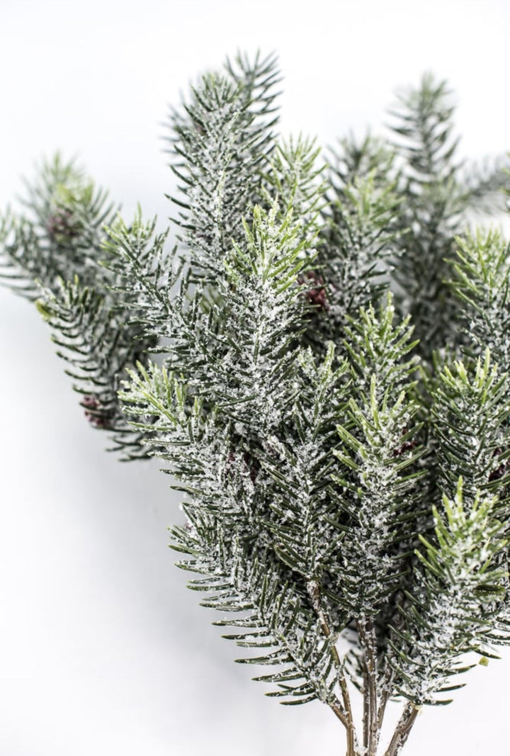 Snowy, evergreen bush with mini cones - Greenery Market84356