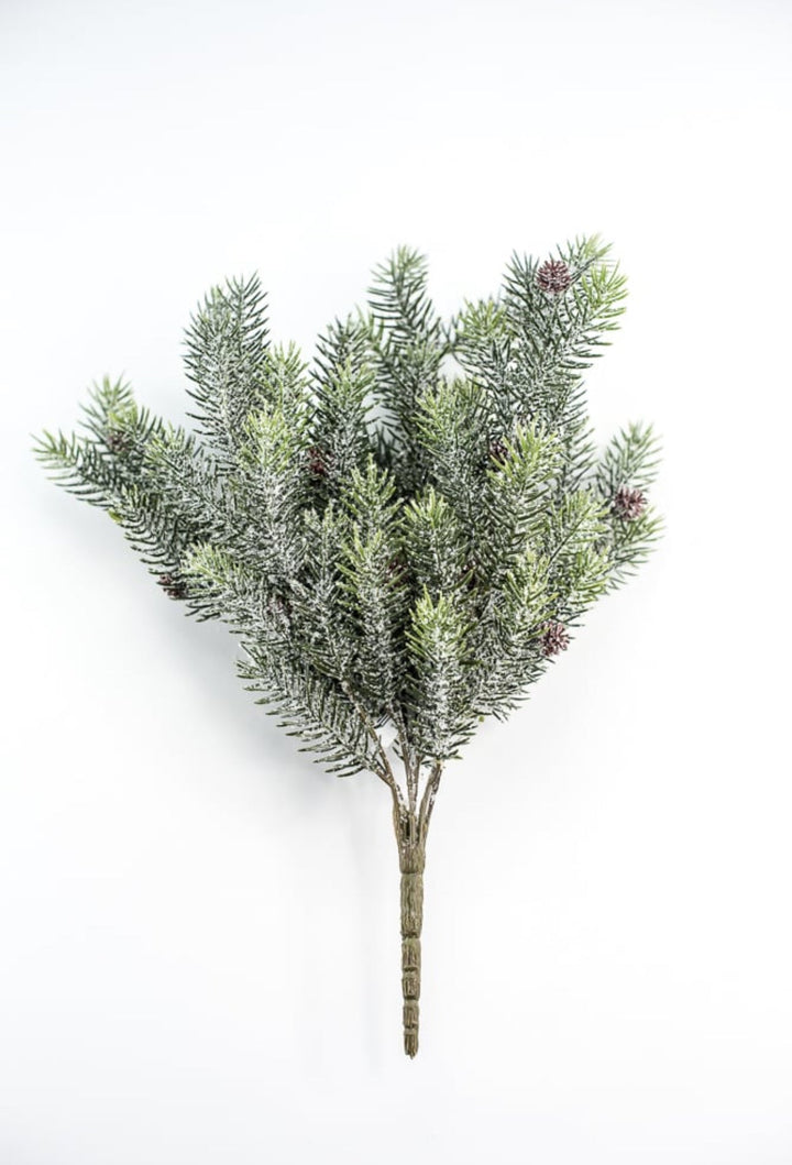Snowy, evergreen bush with mini cones - Greenery Market84356
